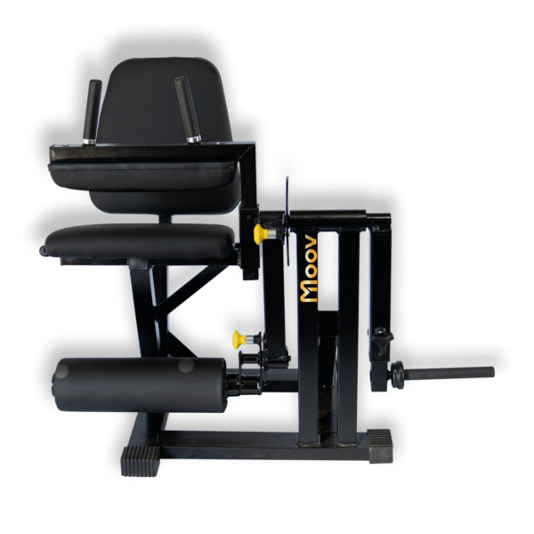 Extensora E Flexora Anilhada - Imagem 10